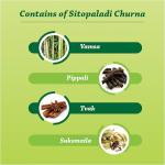 Baidyanath Sitopaladi Churna - 60 Gm